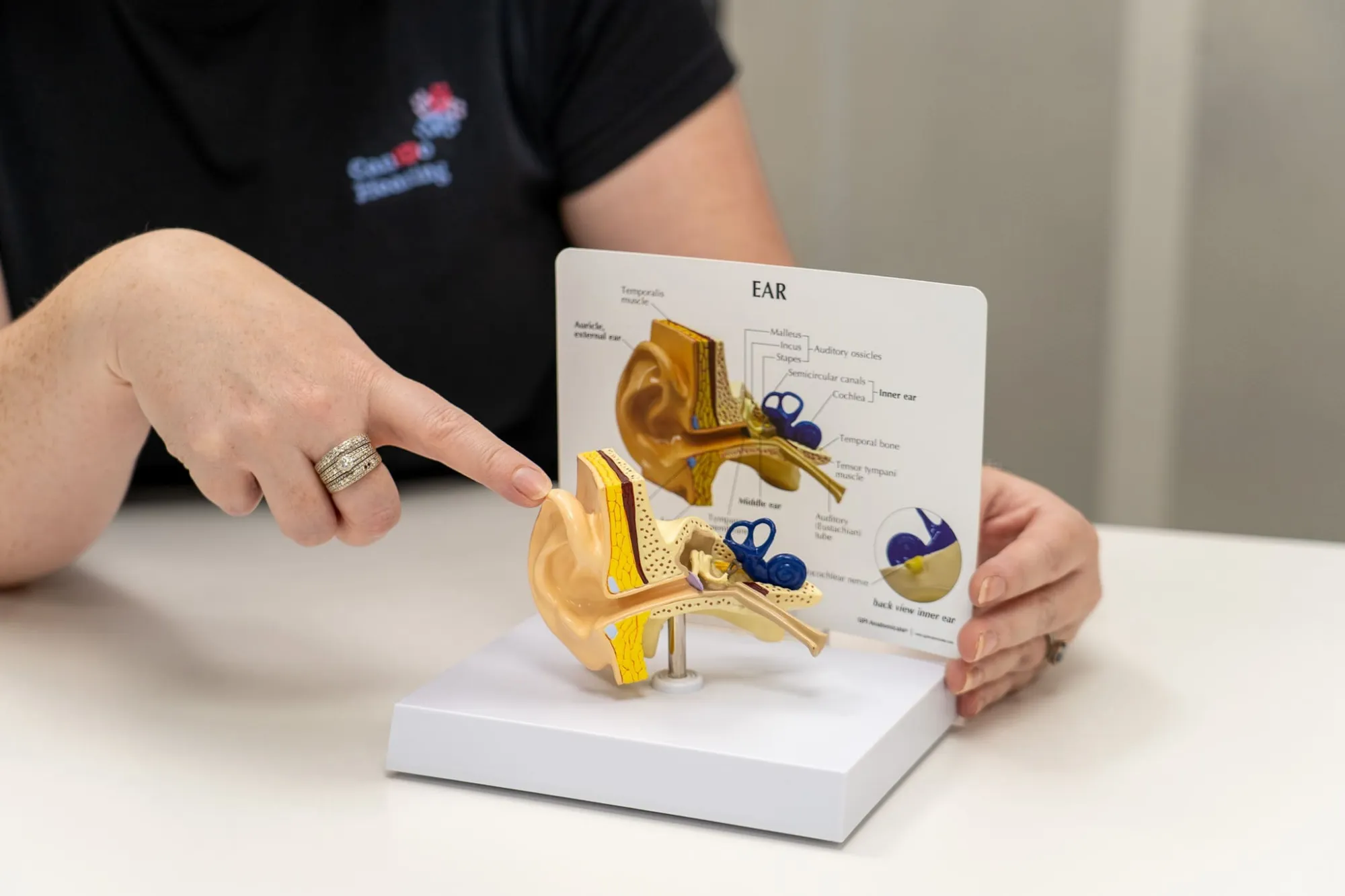 CDH Website Hearing Assessment WEB 10